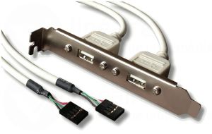 Câble slot USB 2 ports pour carte mère 2 x 5 contacts 
