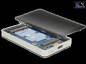 Boîtier externe M.2 touche B 42 mm / mSATA SSD > USB Type-C™ 3.1 Gen 2 femelle