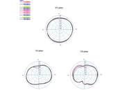 Antenne LTE SMA mâle 0,8 - 4,0 dBi omnidirectionnelle pivotante avec joint inclinable blanche