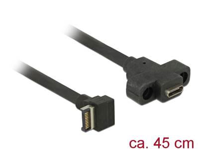 Câble USB 3.1 Gen 2 à clé A 20 broches mâles > USB 3.1 Gen 2 USB Type-C™ femelle monté 45 cm