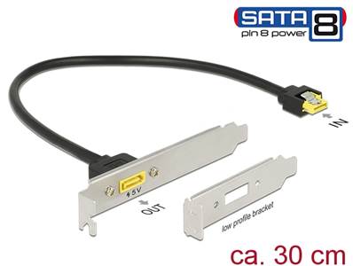 Support à fente SATA 6 Gb/s femelle interne > SATA mâle 8 broches alimentation externe 30 cm