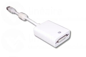 Convertisseur mini DisplayPort vers DVI 24 + 5 