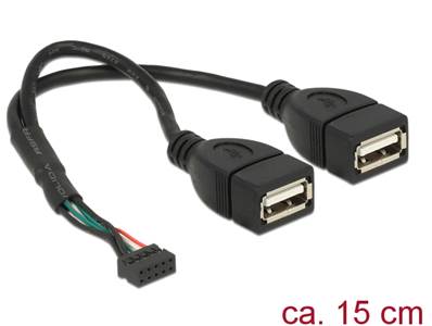 Câble embase 2,00 mm 10 broches USB 2.0 femelle > 2 x USB 2.0 Type-A femelle 20 cm