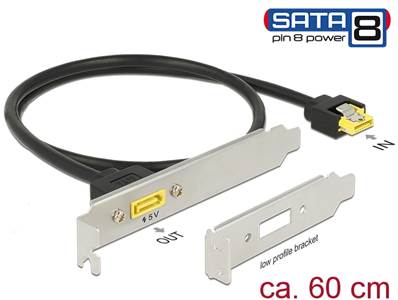 Support à fente SATA 6 Gb/s femelle interne > SATA mâle 8 broches alimentation externe 60 cm