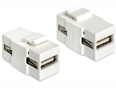 Module Keystone USB 2.0 A femelle > USB 2.0 A femelle blanc