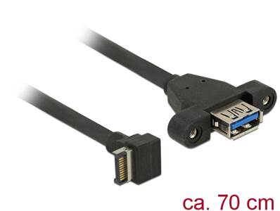 Câble USB 3.1 Gen 2 à clé A 20 broches mâles > USB 3.1 Gen 2 Type-A femelle monté 70 cm